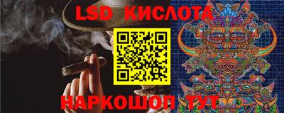 спиды Обь