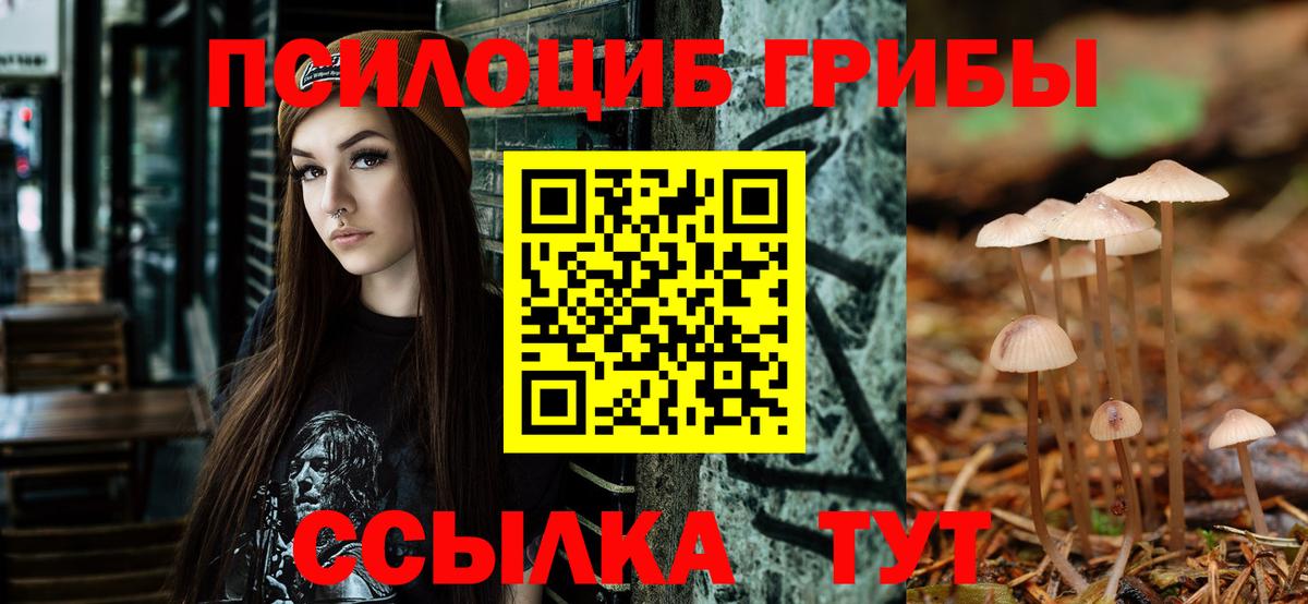 Псилоцибиновые грибы GOLDEN TEACHER  Вход с VPN  Галлюциногенные грибы Magic Shrooms  Курск 