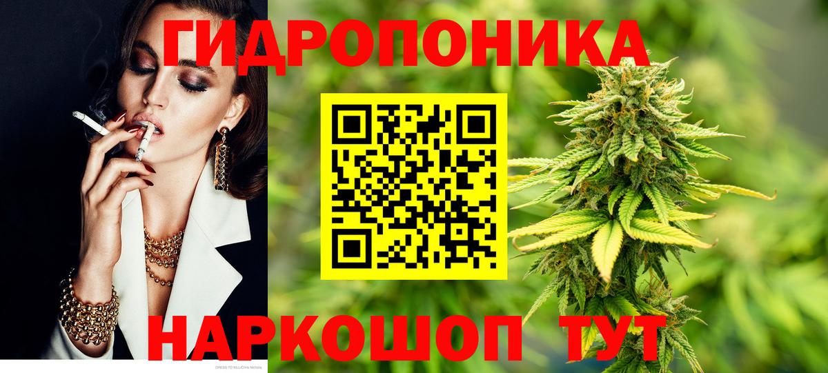 Курск  Конопля Bruce Banner  Вход с VPN  Канабис White Widow  Бошки Шишки планчик 